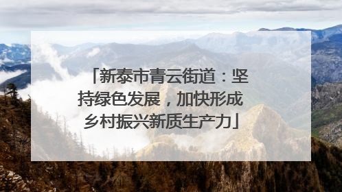 新泰市青云街道：坚持绿色发展，加快形成乡村振兴新质生产力