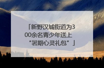 新野汉城街道为300余名青少年送上“暑期心灵礼包”