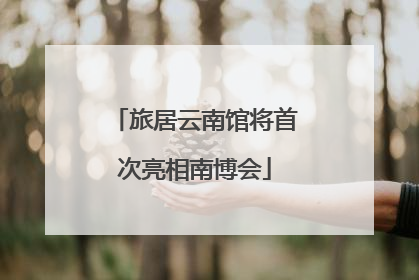 旅居云南馆将首次亮相南博会