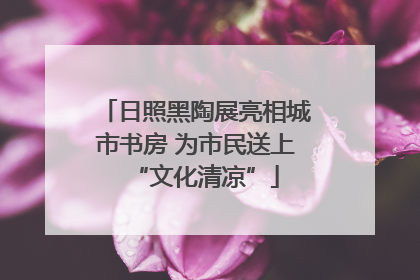 日照黑陶展亮相城市书房 为市民送上“文化清凉”