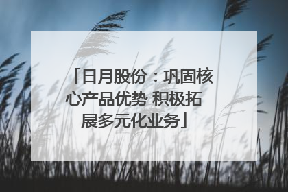 日月股份：巩固核心产品优势 积极拓展多元化业务