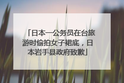日本一公务员在台旅游时偷拍女子裙底，日本岩手县政府致歉