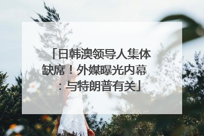 日韩澳领导人集体缺席！外媒曝光内幕：与特朗普有关