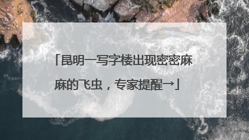 昆明一写字楼出现密密麻麻的飞虫，专家提醒→