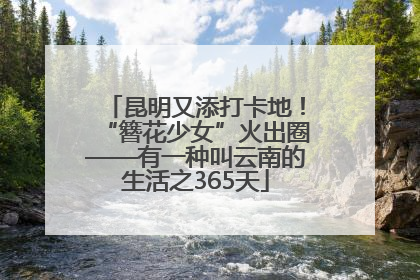 昆明又添打卡地！“簪花少女”火出圈——有一种叫云南的生活之365天