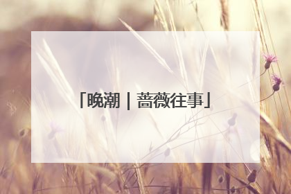 晚潮｜蔷薇往事
