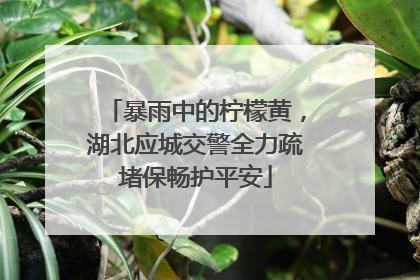 暴雨中的柠檬黄，湖北应城交警全力疏堵保畅护平安