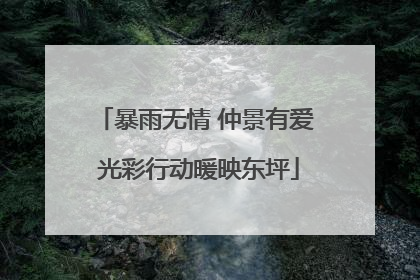 暴雨无情 仲景有爱 光彩行动暖映东坪