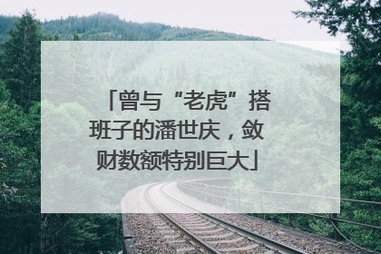 曾与“老虎”搭班子的潘世庆，敛财数额特别巨大