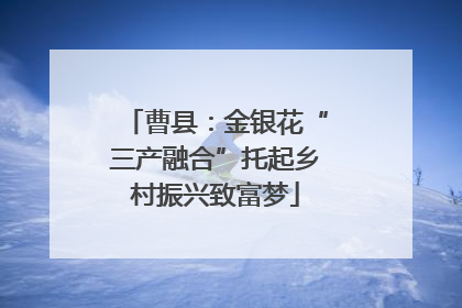 曹县：金银花“三产融合”托起乡村振兴致富梦