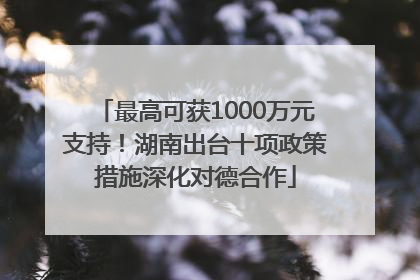 最高可获1000万元支持！湖南出台十项政策措施深化对德合作