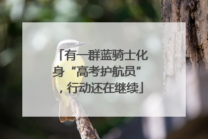 有一群蓝骑士化身“高考护航员”，行动还在继续