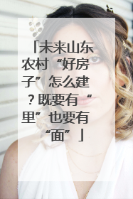 未来山东农村“好房子”怎么建？既要有“里”也要有“面”