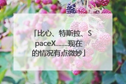 比心、特斯拉、SpaceX……现在的情况有点微妙