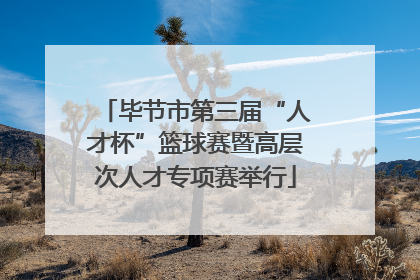 毕节市第三届“人才杯”篮球赛暨高层次人才专项赛举行