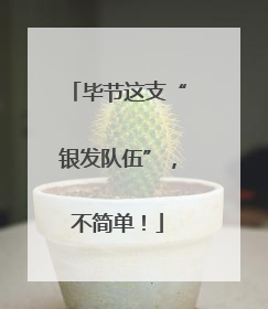 毕节这支“银发队伍”，不简单！