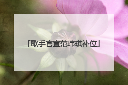 歌手官宣范玮琪补位