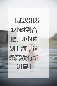 武汉出发1小时到合肥、3小时到上海，这条高铁有新进展