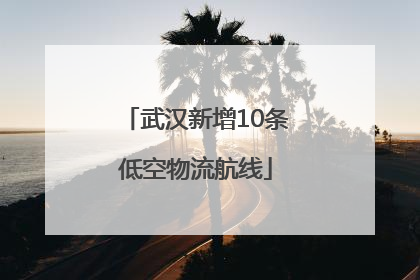 武汉新增10条低空物流航线