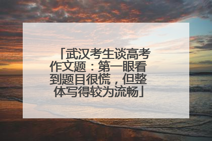 武汉考生谈高考作文题：第一眼看到题目很慌，但整体写得较为流畅