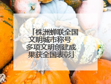 株洲蝉联全国文明城市称号 多项文明创建成果获全国表彰