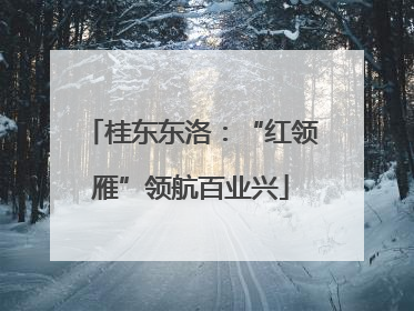 桂东东洛：“红领雁”领航百业兴