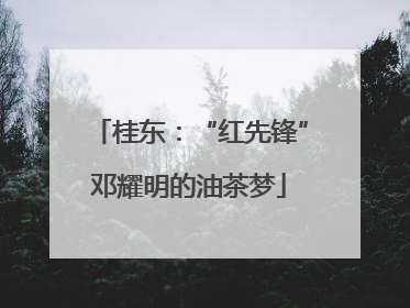 桂东：“红先锋”邓耀明的油茶梦