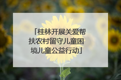 桂林开展关爱帮扶农村留守儿童困境儿童公益行动