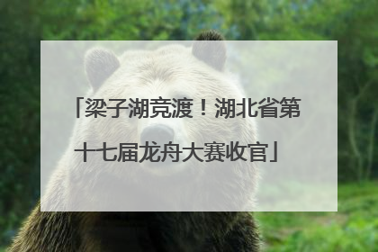 梁子湖竞渡！湖北省第十七届龙舟大赛收官