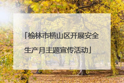 榆林市横山区开展安全生产月主题宣传活动
