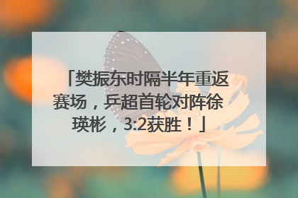 樊振东时隔半年重返赛场，乒超首轮对阵徐瑛彬，3:2获胜！