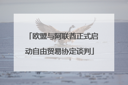 欧盟与阿联酋正式启动自由贸易协定谈判