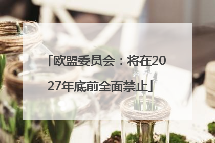 欧盟委员会：将在2027年底前全面禁止