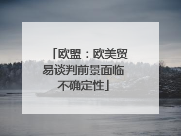 欧盟：欧美贸易谈判前景面临不确定性
