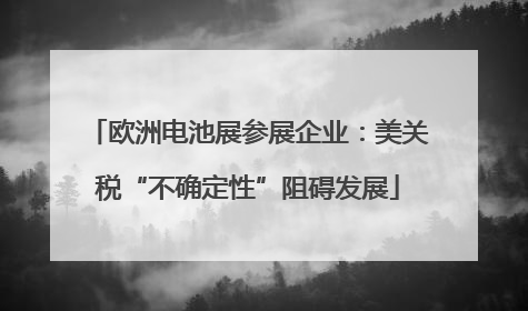 欧洲电池展参展企业：美关税“不确定性”阻碍发展