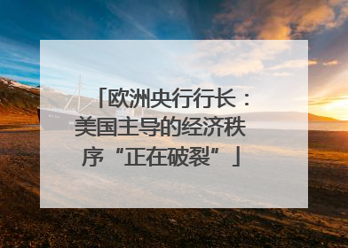 欧洲央行行长：美国主导的经济秩序“正在破裂”