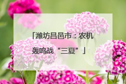潍坊昌邑市：农机轰鸣战“三夏”