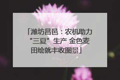 潍坊昌邑：农机助力“三夏”生产 金色麦田绘就丰收图景