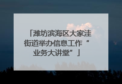 潍坊滨海区大家洼街道举办信息工作“业务大讲堂”