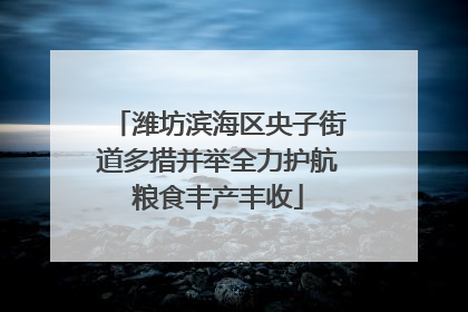 潍坊滨海区央子街道多措并举全力护航粮食丰产丰收