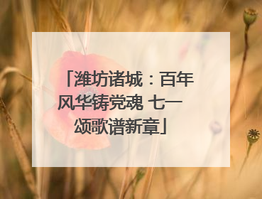 潍坊诸城：百年风华铸党魂 七一颂歌谱新章