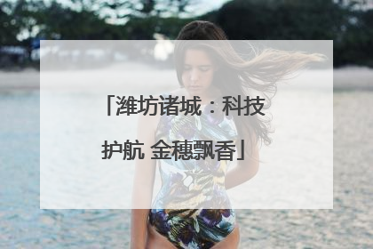 潍坊诸城：科技护航 金穗飘香