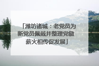 潍坊诸城：老党员为新党员佩戴并整理党徽 薪火相传促发展