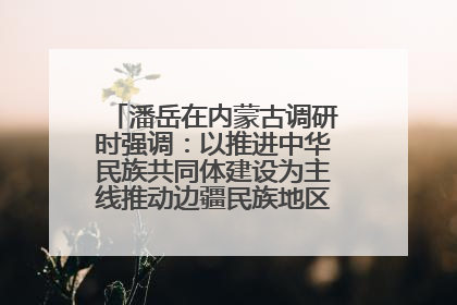 潘岳在内蒙古调研时强调：以推进中华民族共同体建设为主线推动边疆民族地区高质量发展