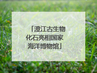 澄江古生物化石亮相国家海洋博物馆