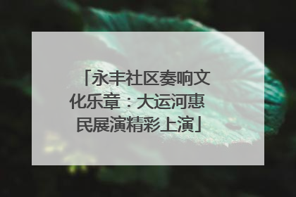 永丰社区奏响文化乐章：大运河惠民展演精彩上演