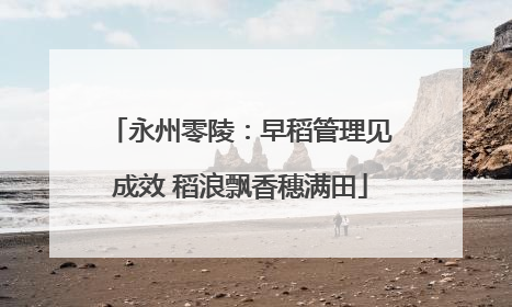 永州零陵：早稻管理见成效 稻浪飘香穗满田