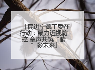 民进宁德工委在行动：聚力近视防控 童声共筑“睛”彩未来