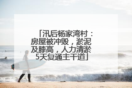 汛后杨家湾村：房屋被冲毁，淤泥及膝高，人力清淤5天复通主干道