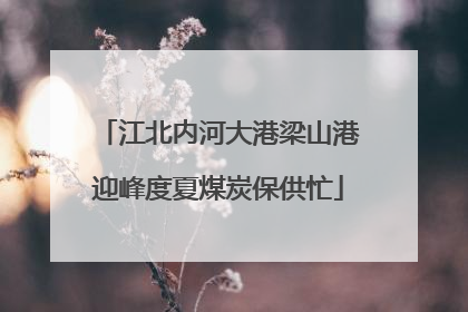 江北内河大港梁山港迎峰度夏煤炭保供忙
